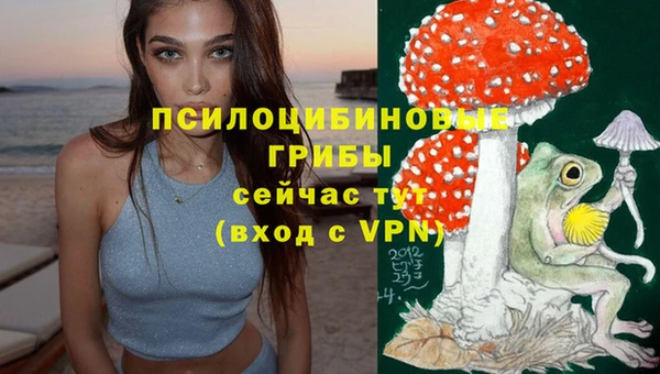 ешки Алзамай