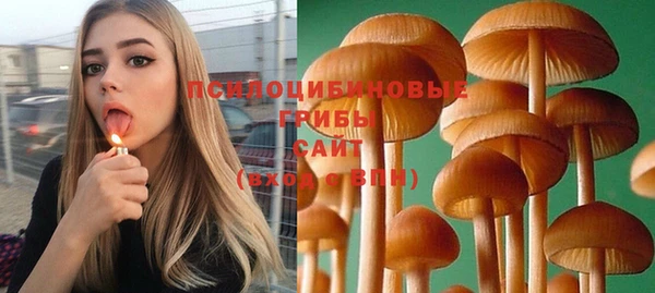 круглые Алексеевка